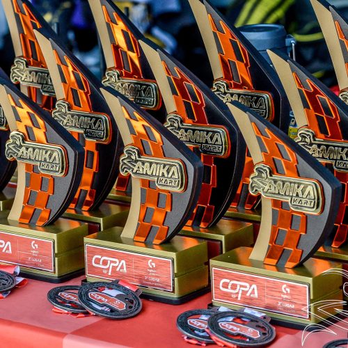Copa-carrossel 2